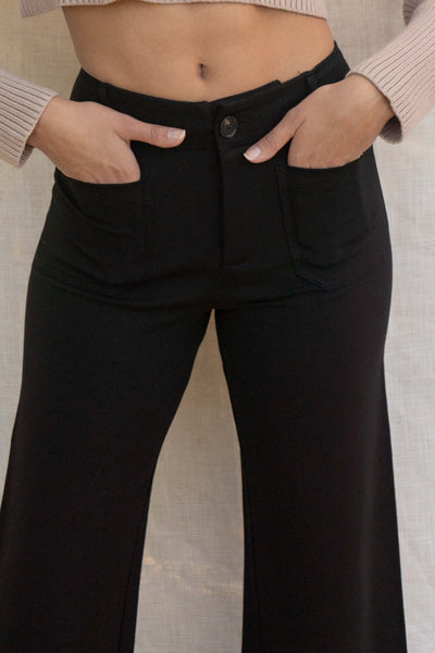 Amanda Ponte Pants